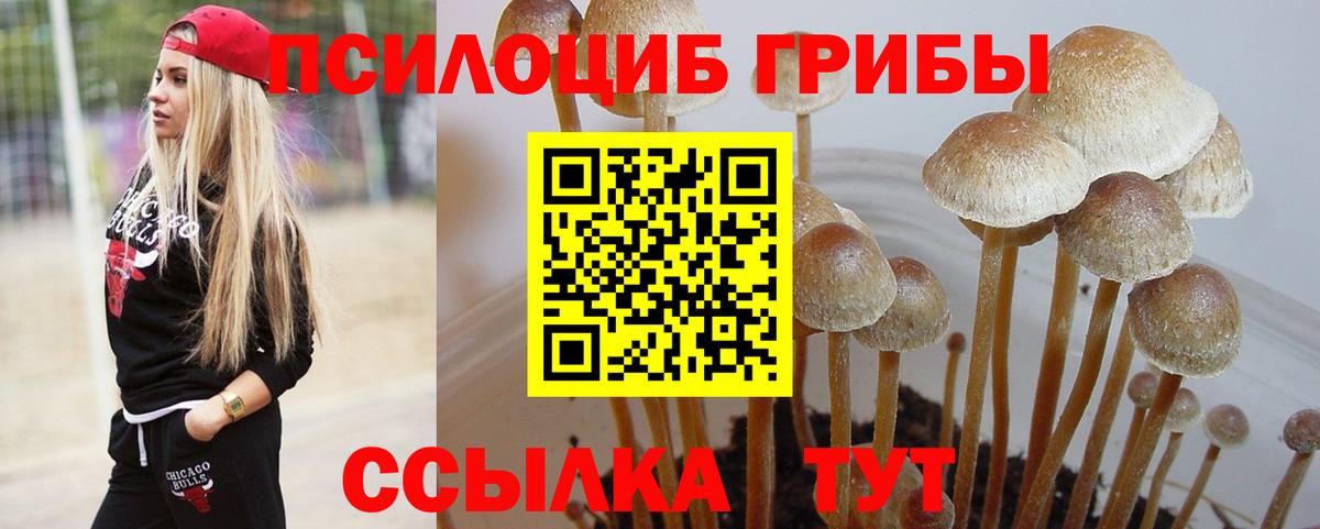 Баксан  Галлюциногенные грибы GOLDEN TEACHER  наркошоп  Вход с VPN 
